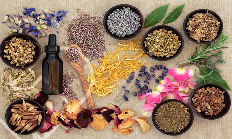 معرفی خدمات بهترین دکتر طب سنتی در تهران